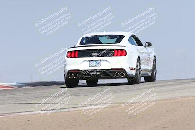 media/Nov-01-2025-PCA Central Coast (Sat) [[5e27ded23e]]/White Group/Grapevine/